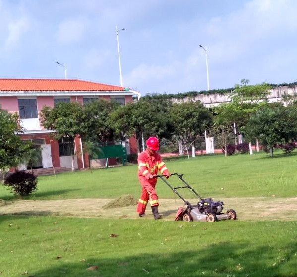 如何做好城市园林绿化养护