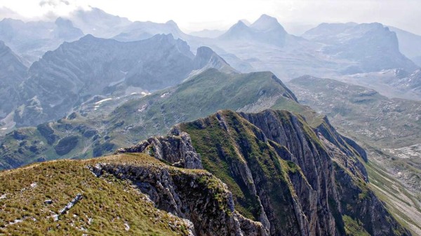 美术生选动漫设计=铁饭碗?揭秘高薪就业真相❗