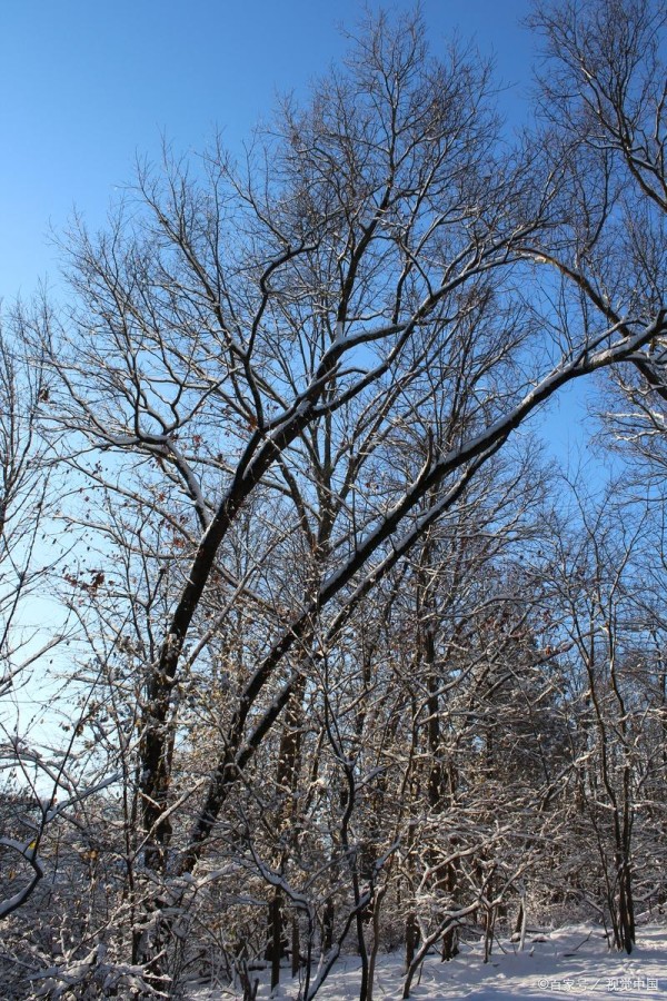 流浪的美食制作:在旅途中尝试制作当地美食的乐趣