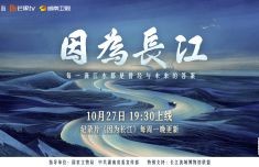 综艺节目最新资讯