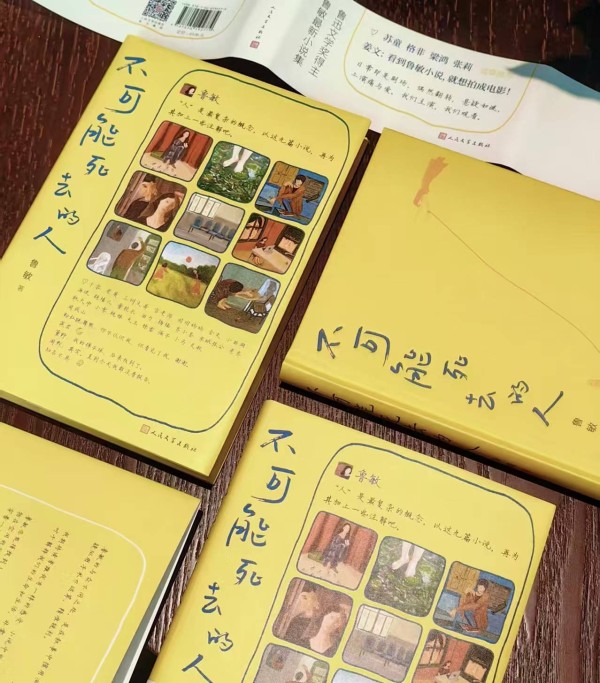 专访丨鲁敏《不可能死去的人》：时间是我唯一的技巧