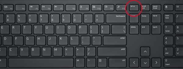 如何使用 Print Screen 键在 Windows 中进行屏幕截图