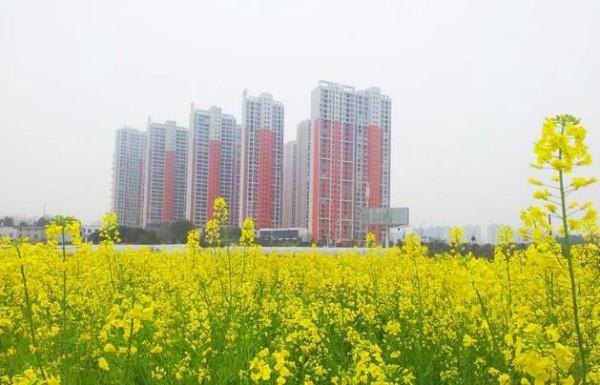 浩龙音乐界是长沙月亮岛4亿打造的长沙首个音乐主题艺术社区