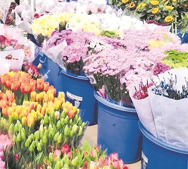 成都三圣花乡的花卉市场