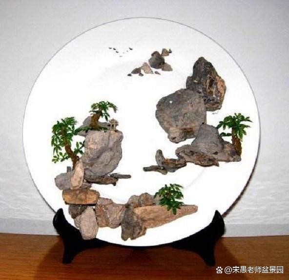 我的园艺生活:绿意盎然的诗行