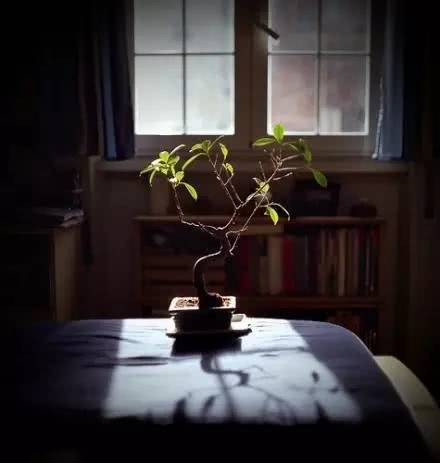 世界上最健康的生活方式