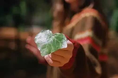 世界上最健康的<a target=