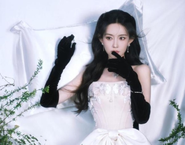 将门毒后简介 主演阵容引发番位争议