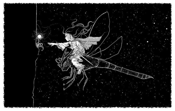 数学家们的趣事|狸猫故事网