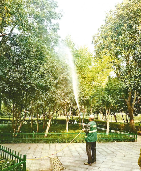 驻马店市园林绿化中心积极开展秋季绿化养护工作