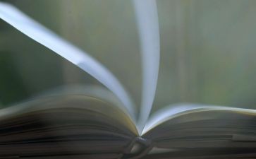 读故事书读后感7篇