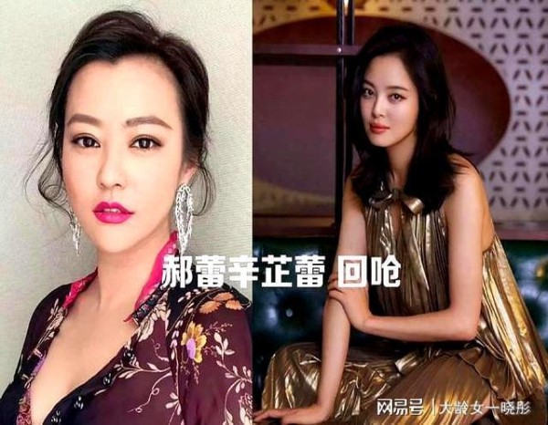 郝蕾跟辛芷蕾杠上了？大家都错了！辛芷蕾顶多算误伤