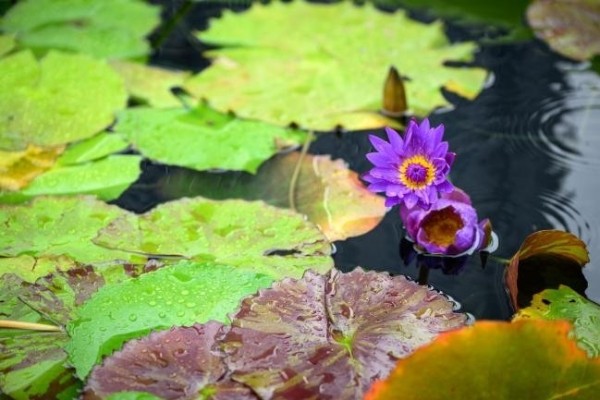  重拾顽皮心、探索自然趣——前滩太古里“Let's Play Well 皮一夏，趣<a target=