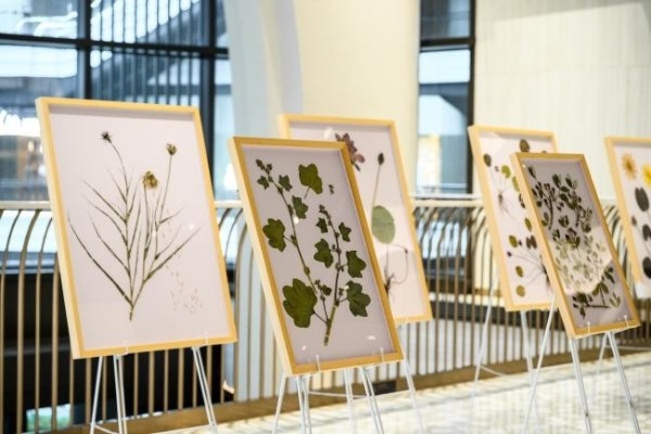  重拾顽皮心、探索自然趣——前滩太古里“Let's Play Well 皮一夏，趣<a target=