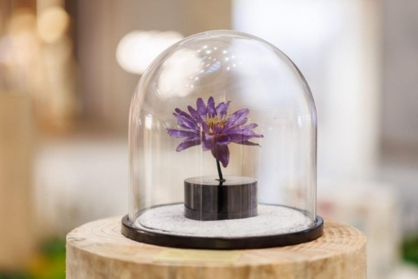  重拾顽皮心、探索自然趣——前滩太古里“Let's Play Well 皮一夏，趣<a target=