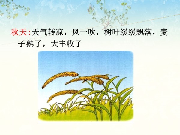 四季的变化PPT.ppt_第5页