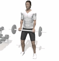 健身入门基础动作有哪些 简单省时的零基础健身教程