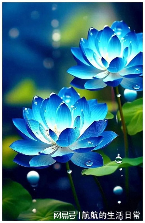 关键时刻，能救你一命的30个生活知识