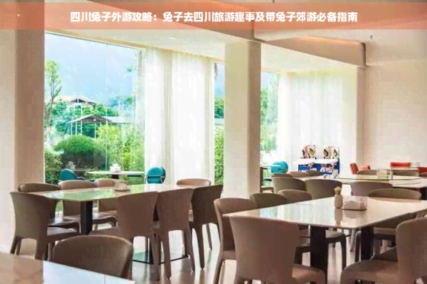 四川兔子外游攻略：兔子去四川旅游趣事及带兔子郊游必备指南