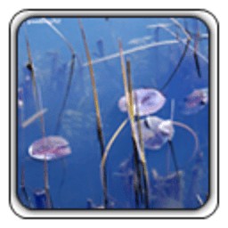 一天一个小故事