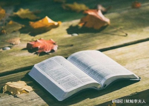 学会5个高效阅读技巧，让你爱上读书！