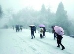 雨雪冰冻天气小常识