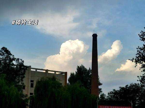 小憩时刻：读书与学习的乐趣