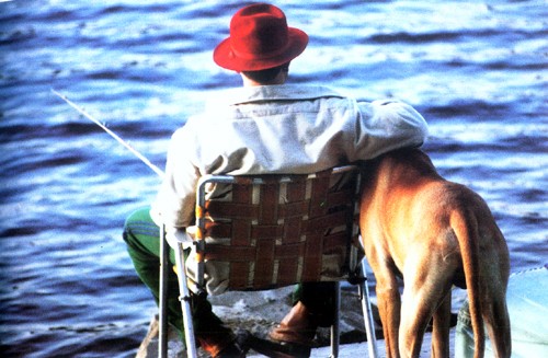 人与宠物相伴及其益处