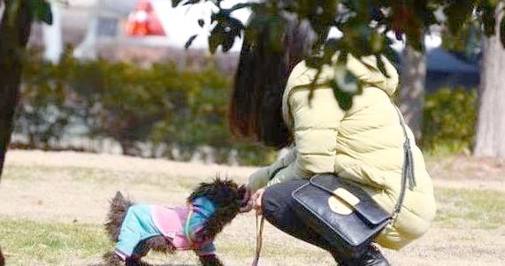 狗狗带来的日常生活幸福瞬间