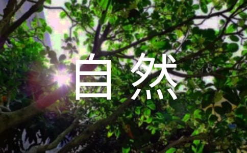 大自然发现的乐趣作文