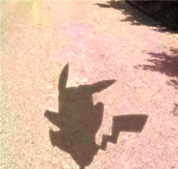 让孩子在自然中探索，感受大自然的魅力