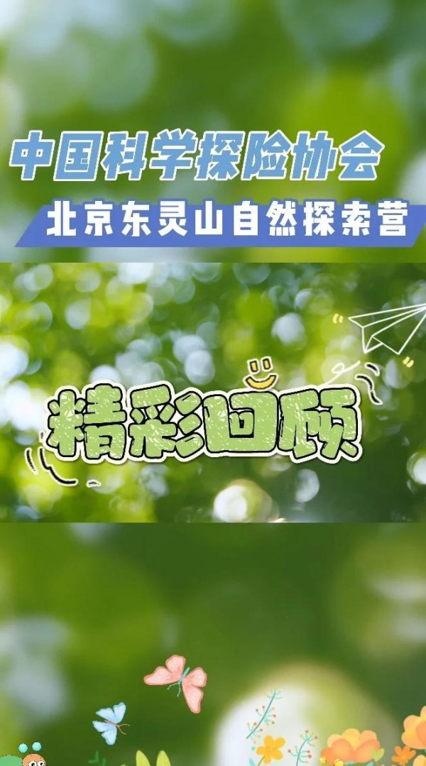 六天营地时光，孩子们的自然探索大冒险