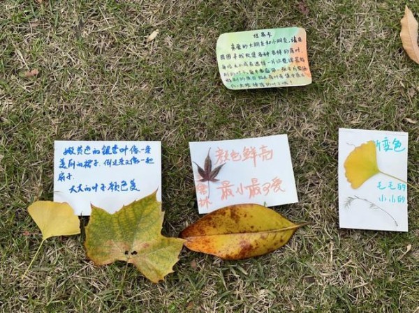 秋日探秘：十大自然活动助力孩子快乐成长