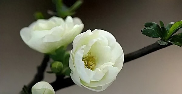 给自己鼓励的话20句，让你瞬间斗志昂扬