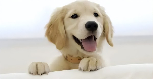 给自己鼓励的话20句，让你瞬间斗志昂扬