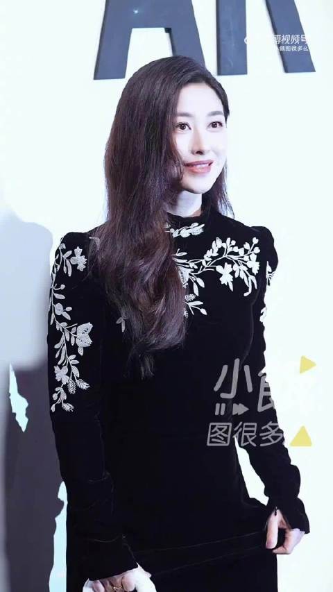 朱珠穿Dior丝绒刺绣长裙亮相,镜头前惊艳众人