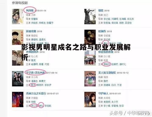 五、影视男明星如何保持人气与职业发展