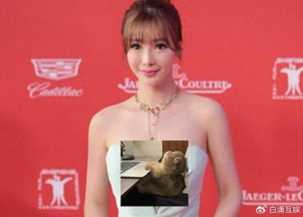 性感＝柳岩？看43岁的柳岩如何被娱乐圈一步步“吞噬”