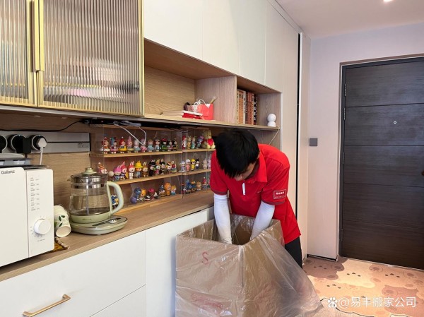 带宠物搬家必看攻略!照着做宠物0应激!