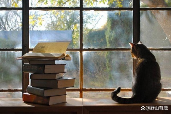 一个人,晚年能不能“享福”,只看以下4个条件