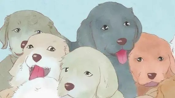 宠物狗被撞死,法院是否支持赔偿饲养费用?