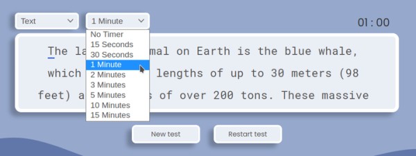 Typing test timer options.