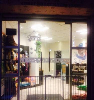 宠物店寄养所需证明及注意事项（了解宠物店寄养要求，让宠物得到贴心照料）