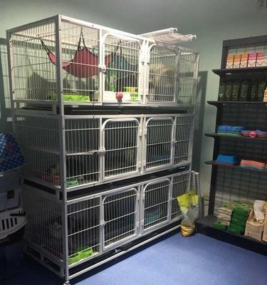 宠物店寄养所需证明及注意事项（了解宠物店寄养要求，让宠物得到贴心照料）