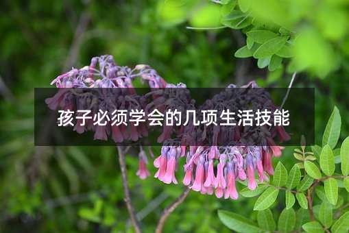 孩子必须学会的几项<a target=