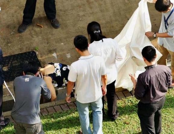 明星动态与娱乐圈热点事件全解析