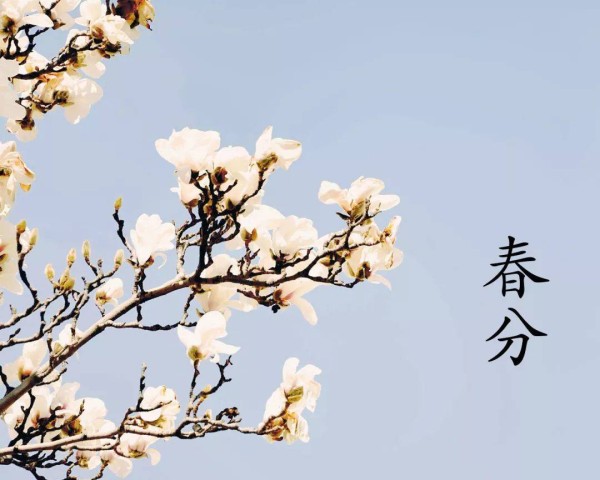 春分唯美句子微信心情说说 