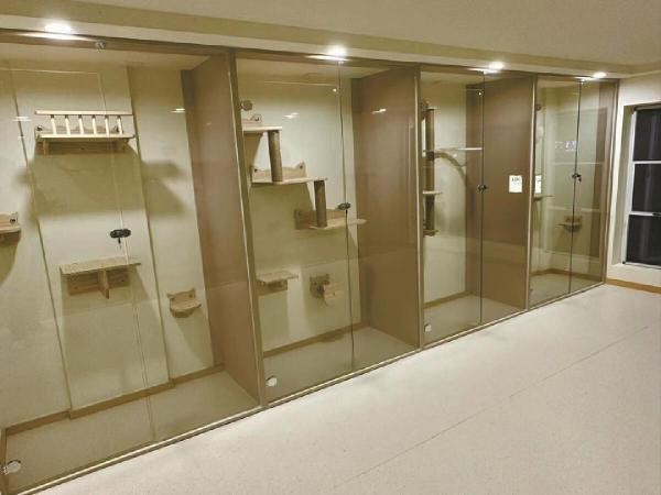 外出游玩家中宠物如何安置?寄养是大多数宠物主的选择