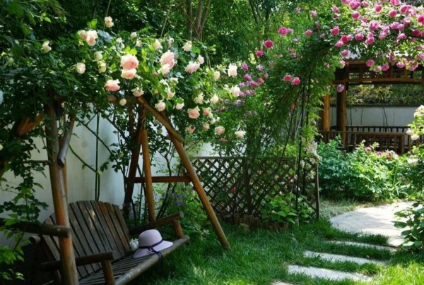 退休老人在农村养花种菜,过起了让人羡慕的田园生活