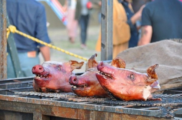 u=3831357740,3870468374&fm=175&s=3C944C95465151C614A